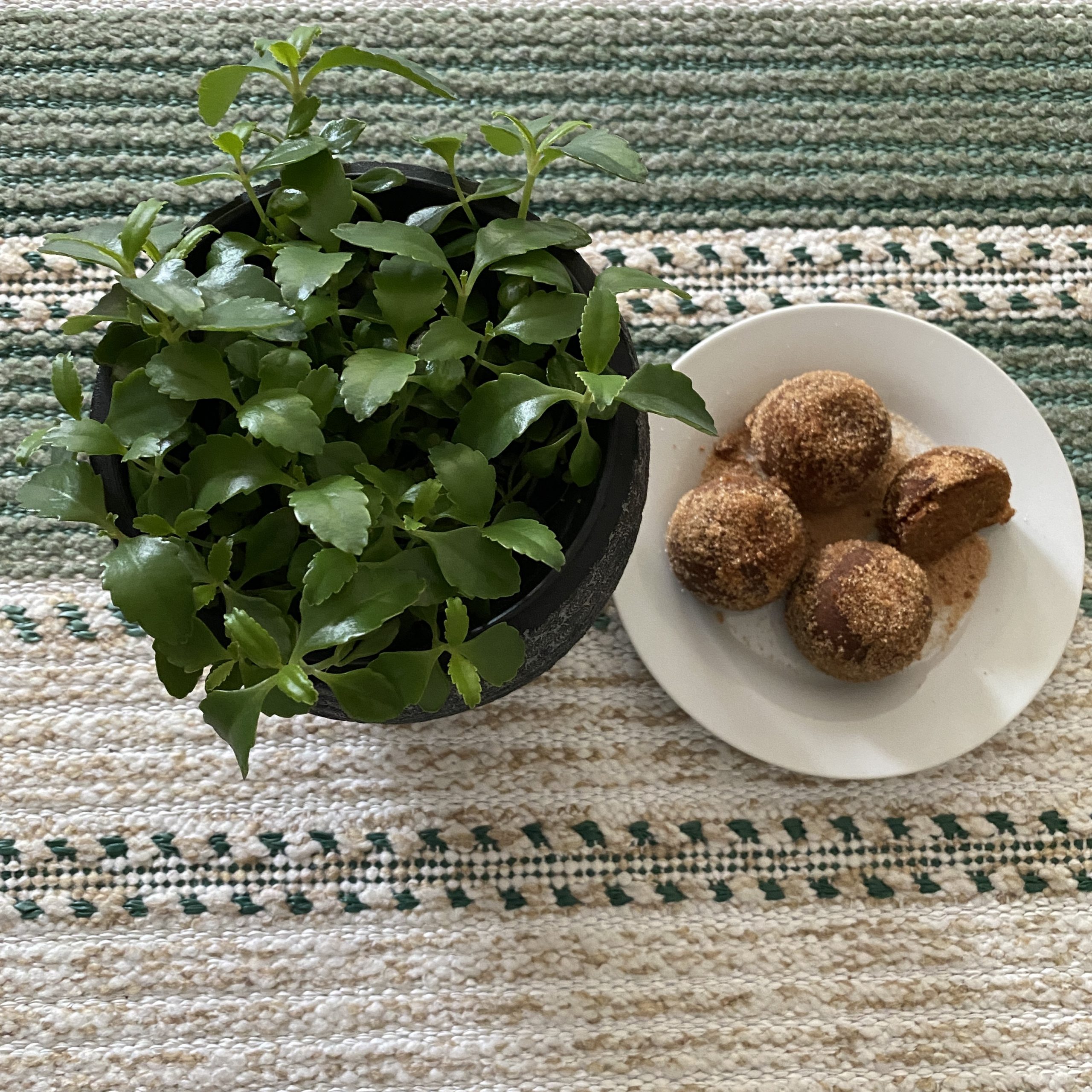 Donut balls of churros bites? – Silphya’s Kitchen