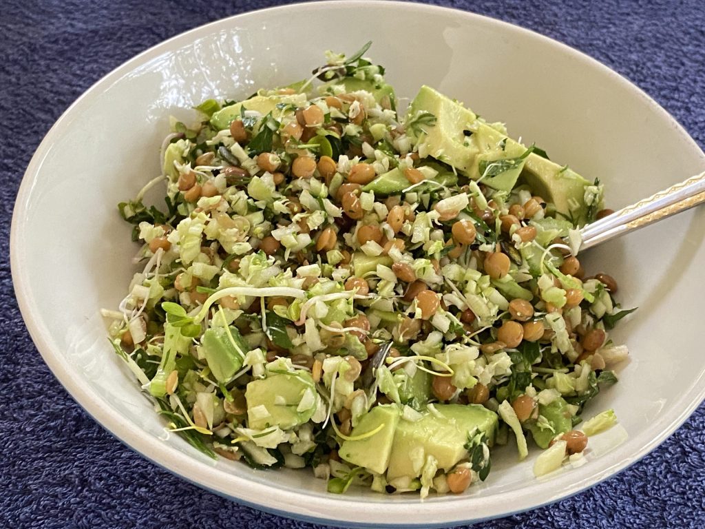 Broccoli-linzensalade met avocado en kiemgroenten