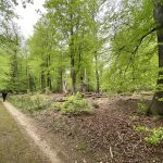 Kroondomein wandeling