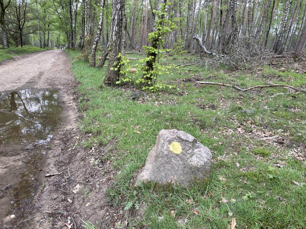 Natuurroute Planken Wambuis